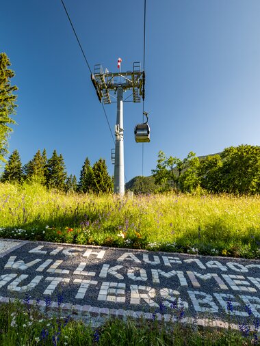© www.spekner.com