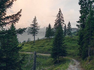 © Thorsten Günthert